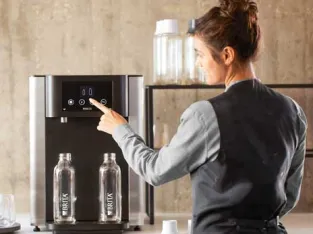 BRITA - Gansky